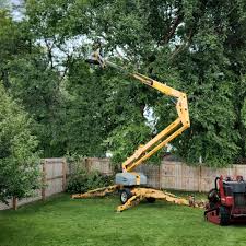 Lawn Renovation and Restoration in Monroe, WA